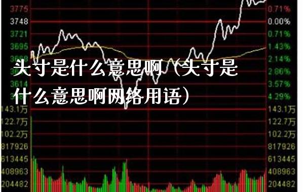 头寸是什么意思啊(头寸是什么意思啊网络用语)_道指直播_第1张_期货投资网 头寸是什么意思啊(头寸是什么意思啊网络用语)_https://www.cqckcrrc.com_道指直播_第1张