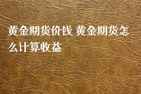 黄金期货价钱 黄金期货怎么计算收益_https://www.cqckcrrc.com_黄金期货_第1张