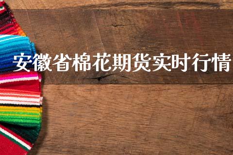 安徽省棉花期货实时行情_道指直播_第1张_期货投资网 安徽省棉花期货实时行情_https://www.cqckcrrc.com_道指直播_第1张