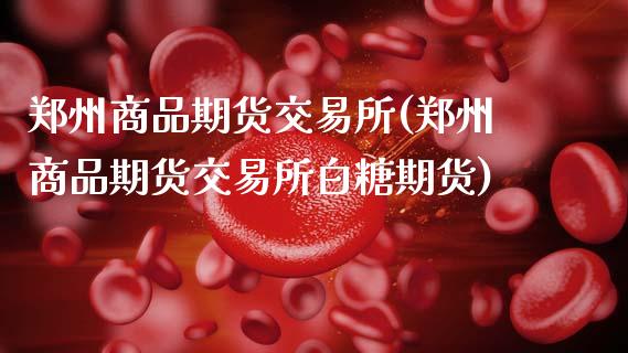 郑州商品期货交易所(郑州商品期货交易所白糖期货)_https://www.cqckcrrc.com_道指直播_第1张