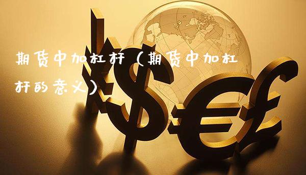 期货中加杠杆（期货中加杠杆的意义）_https://www.cqckcrrc.com_内盘期货_第1张