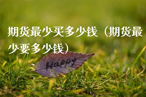 期货最少买多少钱（期货最少要多少钱）_https://www.cqckcrrc.com_道指直播_第1张