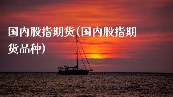 国内股指期货(国内股指期货品种)_道指直播_第1张_期货投资网 国内股指期货(国内股指期货品种)_https://www.cqckcrrc.com_道指直播_第1张