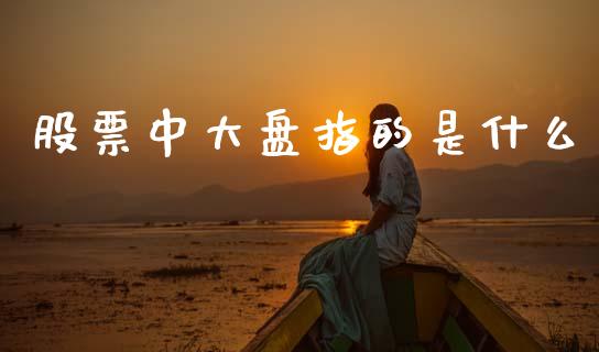 股票中大盘指的是什么_道指直播_第1张_期货投资网 股票中大盘指的是什么_https://www.cqckcrrc.com_道指直播_第1张