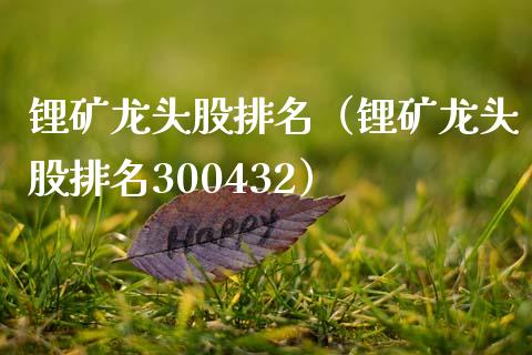 锂矿龙头股排名(锂矿龙头股排名300432)_黄金期货_第1张_期货投资网 锂矿龙头股排名(锂矿龙头股排名300432)_https://www.cqckcrrc.com_黄金期货_第1张