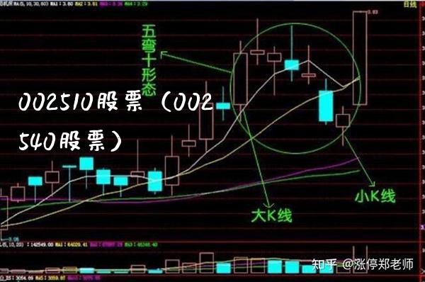 002510股票（002540股票）_https://www.cqckcrrc.com_股票理财_第1张