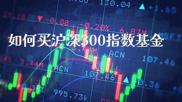 如何买沪深300指数基金_https://www.cqckcrrc.com_纳指直播_第1张