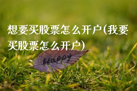 想要买股票怎么开户(我要买股票怎么开户)_原油期货_第1张_期货投资网 想要买股票怎么开户(我要买股票怎么开户)_https://www.cqckcrrc.com_原油期货_第1张