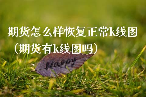 期货怎么样恢复正常k线图（期货有k线图吗）_https://www.cqckcrrc.com_道指直播_第1张