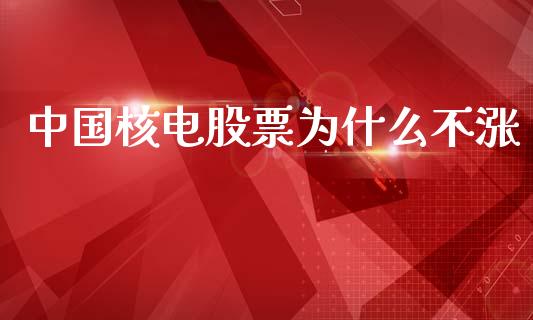 中国核电股票为什么不涨_https://www.cqckcrrc.com_恒生指数_第1张
