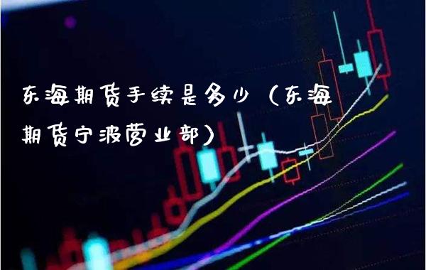 东海期货手续是多少（东海期货宁波营业部）_https://www.cqckcrrc.com_理财百科_第1张
