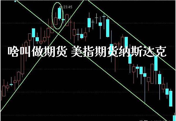 啥叫做期货 美指期货纳斯达克_恒生指数_第1张_期货投资网 啥叫做期货 美指期货纳斯达克_https://www.cqckcrrc.com_恒生指数_第1张