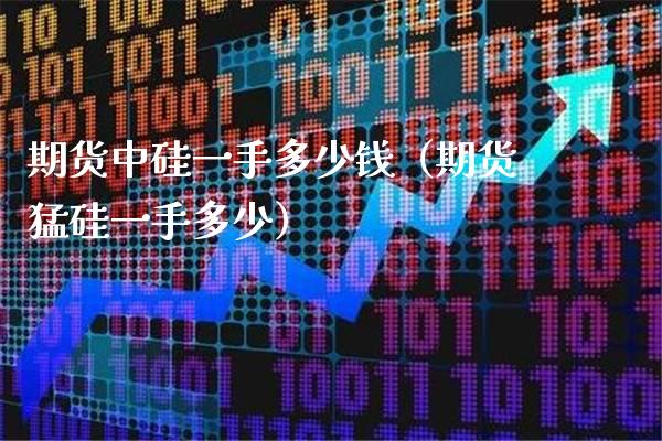 期货中硅一手多少钱（期货猛硅一手多少）_https://www.cqckcrrc.com_黄金期货_第1张