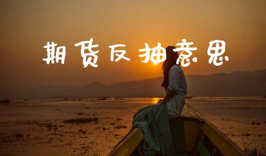 期货反抽意思_原油期货_第1张_期货投资网 期货反抽意思_https://www.cqckcrrc.com_原油期货_第1张