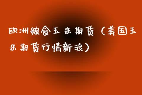 欧洲粮食玉米期货(美国玉米期货行情新浪)_股票理财_第1张_期货投资网 欧洲粮食玉米期货(美国玉米期货行情新浪)_https://www.cqckcrrc.com_股票理财_第1张