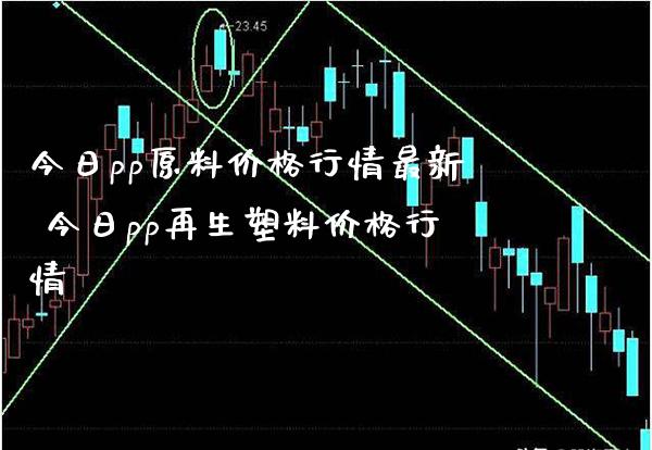今日pp原料价格行情最新 今日pp再生塑料价格行情_https://www.cqckcrrc.com_黄金期货_第1张