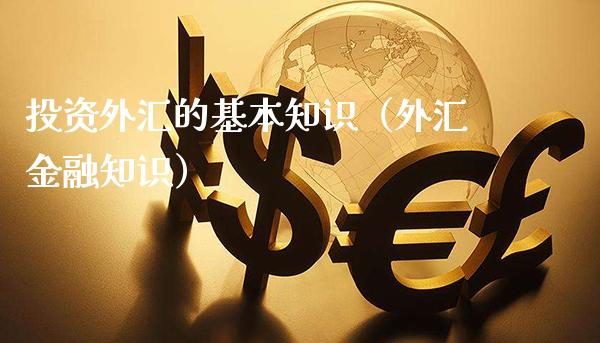 投资外汇的基本知识（外汇金融知识）_https://www.cqckcrrc.com_恒生指数_第1张