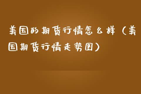 美国的期货行情怎么样（美国期货行情走势图）_https://www.cqckcrrc.com_黄金期货_第1张