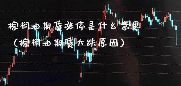 棕榈油期货涨停是什么意思（棕榈油期货大跌原因）_https://www.cqckcrrc.com_道指直播_第1张