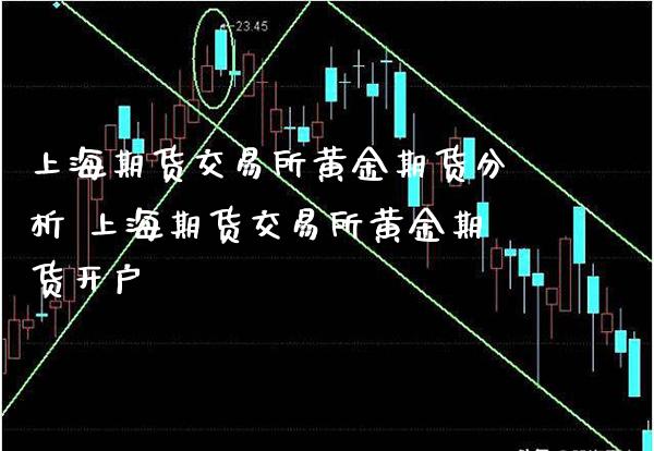 上海期货交易所黄金期货分析 上海期货交易所黄金期货开户_https://www.cqckcrrc.com_黄金期货_第1张