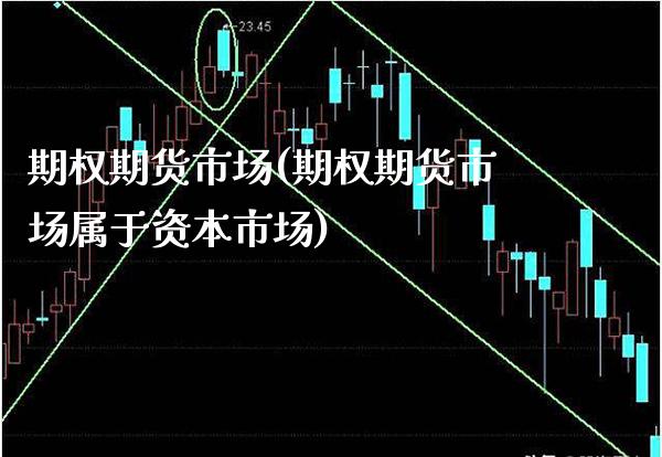 期权期货市场(期权期货市场属于资本市场)_https://www.cqckcrrc.com_恒指期货_第1张