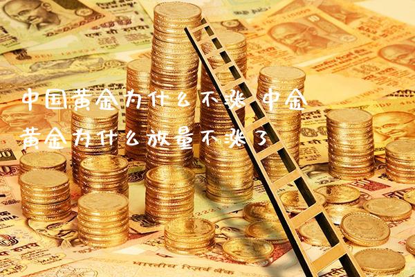 中国黄金为什么不涨 中金黄金为什么放量不涨了_黄金期货_第1张_期货投资网 中国黄金为什么不涨 中金黄金为什么放量不涨了_https://www.cqckcrrc.com_黄金期货_第1张