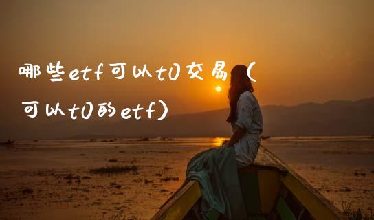 哪些etf可以t0交易（可以t0的etf）_https://www.cqckcrrc.com_纳指直播_第1张