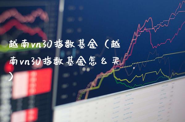 越南vn30指数基金（越南vn30指数基金怎么买）_https://www.cqckcrrc.com_黄金期货_第1张