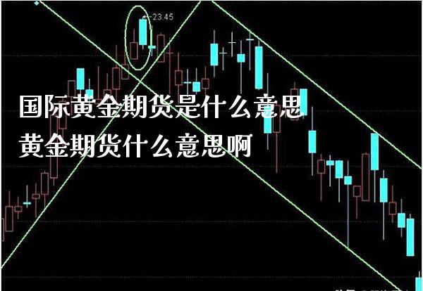 国际黄金期货是什么意思 黄金期货什么意思啊_https://www.cqckcrrc.com_黄金期货_第1张