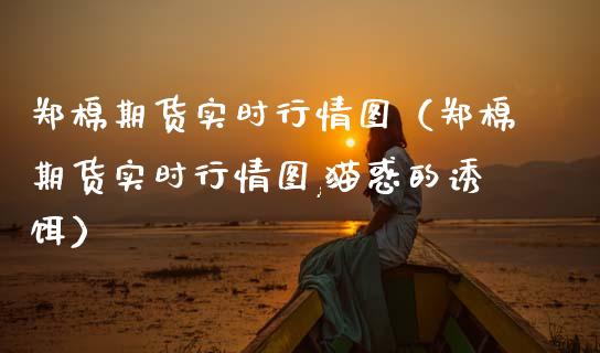 郑棉期货实时行情图（郑棉期货实时行情图,猫惑的诱饵）_https://www.cqckcrrc.com_财经要闻_第1张