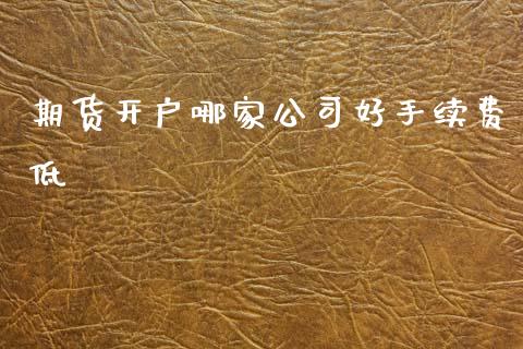 期货开户哪家公司好手续费低_https://www.cqckcrrc.com_纳指直播_第1张