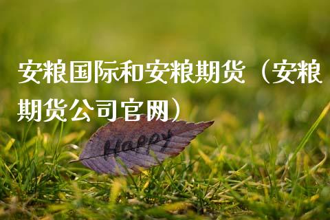 安粮国际和安粮期货(安粮期货公司官网)_期货交易所_第1张_期货投资网 安粮国际和安粮期货(安粮期货公司官网)_https://www.cqckcrrc.com_期货交易所_第1张