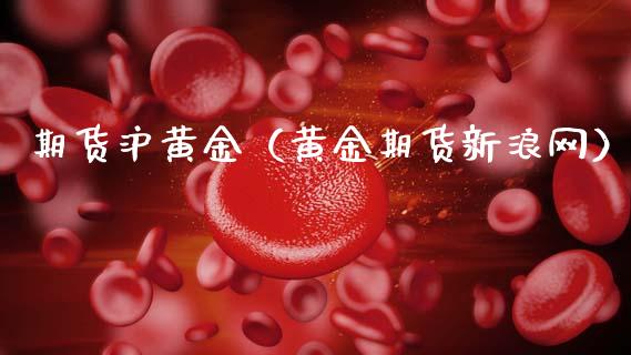 期货沪黄金(黄金期货新浪网)_期货直播_第1张_期货投资网 期货沪黄金(黄金期货新浪网)_https://www.cqckcrrc.com_期货直播_第1张