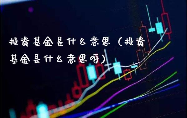 投资基金是什么意思(投资基金是什么意思呀)_恒生指数_第1张_期货投资网 投资基金是什么意思(投资基金是什么意思呀)_https://www.cqckcrrc.com_恒生指数_第1张
