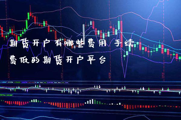 期货开户有哪些费用 手续费低的期货开户平台_https://www.cqckcrrc.com_原油期货_第1张