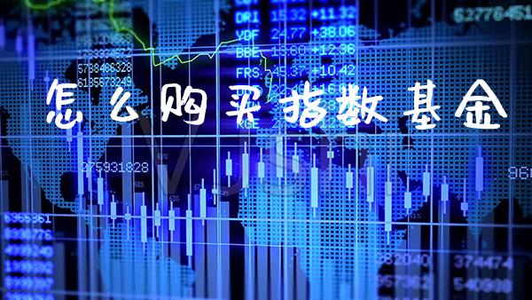 怎么购买指数基金_道指直播_第1张_期货投资网 怎么购买指数基金_https://www.cqckcrrc.com_道指直播_第1张