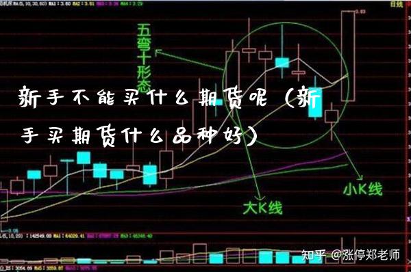新手不能买什么期货呢(新手买期货什么品种好)_基金理财_第1张_期货投资网 新手不能买什么期货呢(新手买期货什么品种好)_https://www.cqckcrrc.com_基金理财_第1张