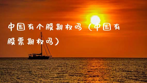 中国有个股期权吗(中国有股票期权吗)_黄金期货_第1张_期货投资网 中国有个股期权吗(中国有股票期权吗)_https://www.cqckcrrc.com_黄金期货_第1张