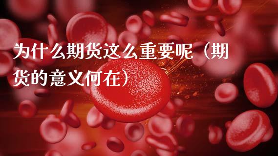 为什么期货这么重要呢（期货的意义何在）_https://www.cqckcrrc.com_恒生指数_第1张