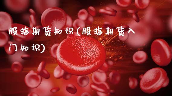 股指期货知识(股指期货入门知识)_财经直播室_第1张_期货投资网 股指期货知识(股指期货入门知识)_https://www.cqckcrrc.com_财经直播室_第1张