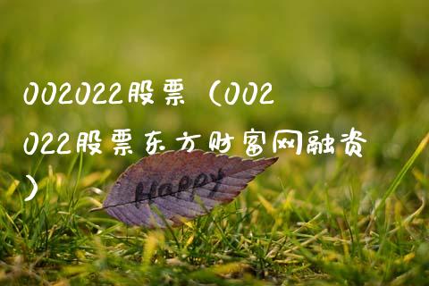 002022股票(002022股票东方财富网融资)_股票理财_第1张_期货投资网 002022股票(002022股票东方财富网融资)_https://www.cqckcrrc.com_股票理财_第1张