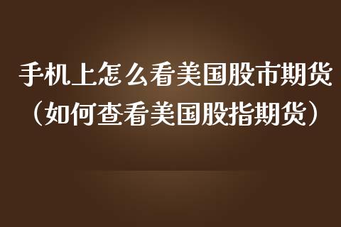 手机上怎么看美国股市期货（如何查看美国股指期货）_https://www.cqckcrrc.com_期货理财_第1张