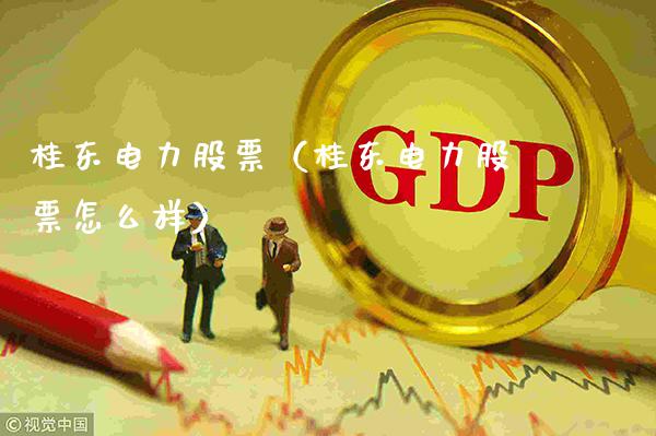 桂东电力股票（桂东电力股票怎么样）_https://www.cqckcrrc.com_道指直播_第1张