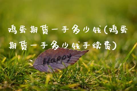 鸡蛋期货一手多少钱(鸡蛋期货一手多少钱手续费)_https://www.cqckcrrc.com_恒指期货_第1张