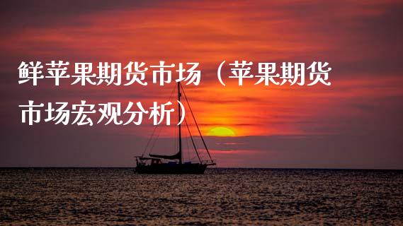 鲜苹果期货市场（苹果期货市场宏观分析）_https://www.cqckcrrc.com_道指直播_第1张