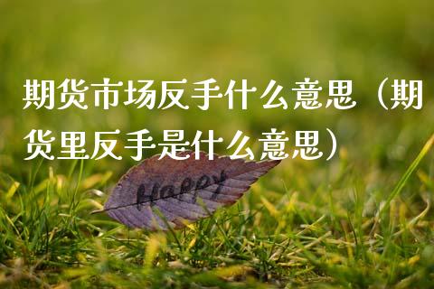 期货市场反手什么意思(期货里反手是什么意思)_原油期货_第1张_期货投资网 期货市场反手什么意思(期货里反手是什么意思)_https://www.cqckcrrc.com_原油期货_第1张
