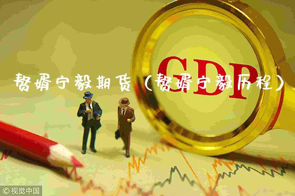 赘婿宁毅期货（赘婿宁毅历程）_https://www.cqckcrrc.com_原油期货_第1张