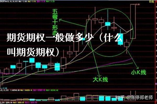 期货期权一般做多少（什么叫期货期权）_https://www.cqckcrrc.com_理财品种_第1张