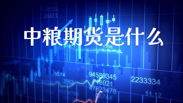 中粮期货是什么_黄金期货_第1张_期货投资网 中粮期货是什么_https://www.cqckcrrc.com_黄金期货_第1张