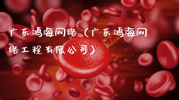 广东鸿海网络(广东鸿海网络工程有限公司)_恒生指数_第1张_期货投资网 广东鸿海网络(广东鸿海网络工程有限公司)_https://www.cqckcrrc.com_恒生指数_第1张